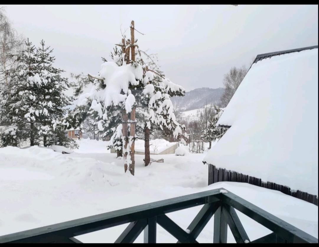 Apartmán Hedonic Kopaonik Exteriér fotografie